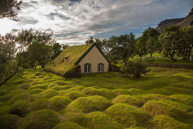 Những ngôi nhà phủ cỏ xanh tuyệt đẹp ... A115