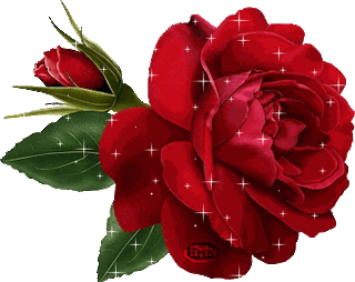 ĐÔI MẮT MẸ (Đặng Minh Mai ) Roses_10