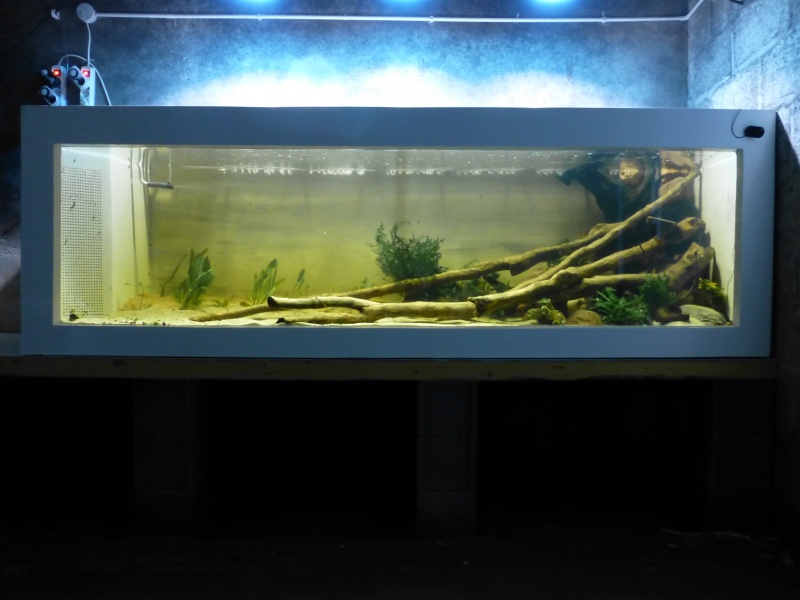 Mon aquarium en polyester de 1200 litres Aqua_211