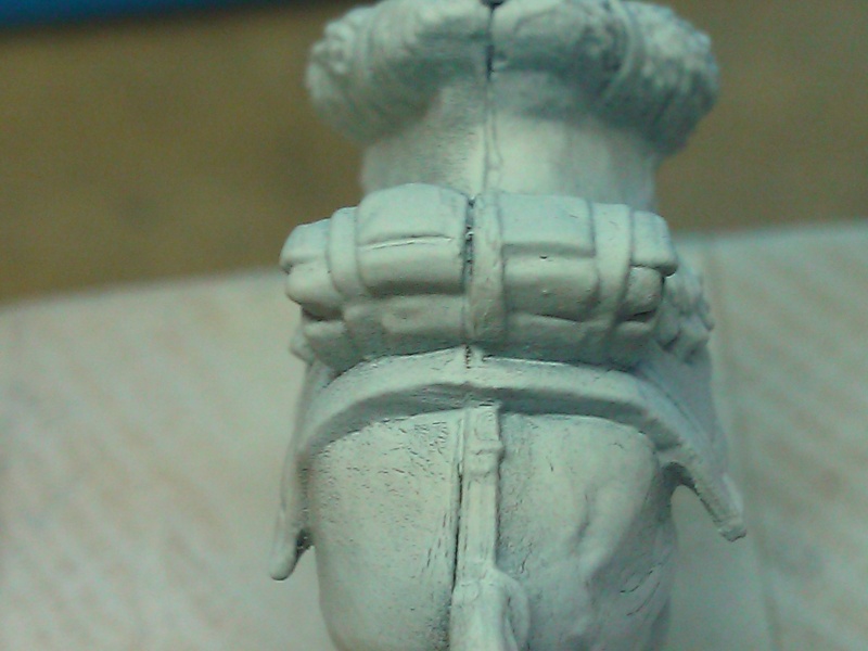 Carabiniers in 28mm. Wp_00869