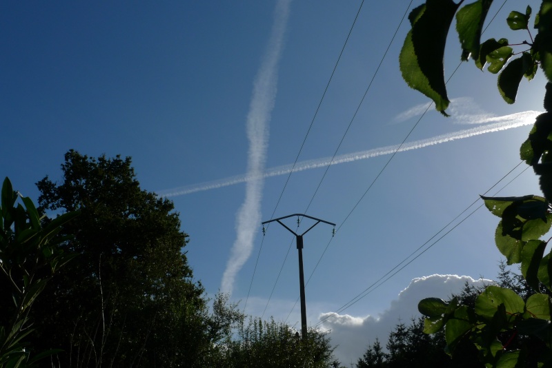 CHEMTRAILS FOR EVER !! - Page 2 12lx_110