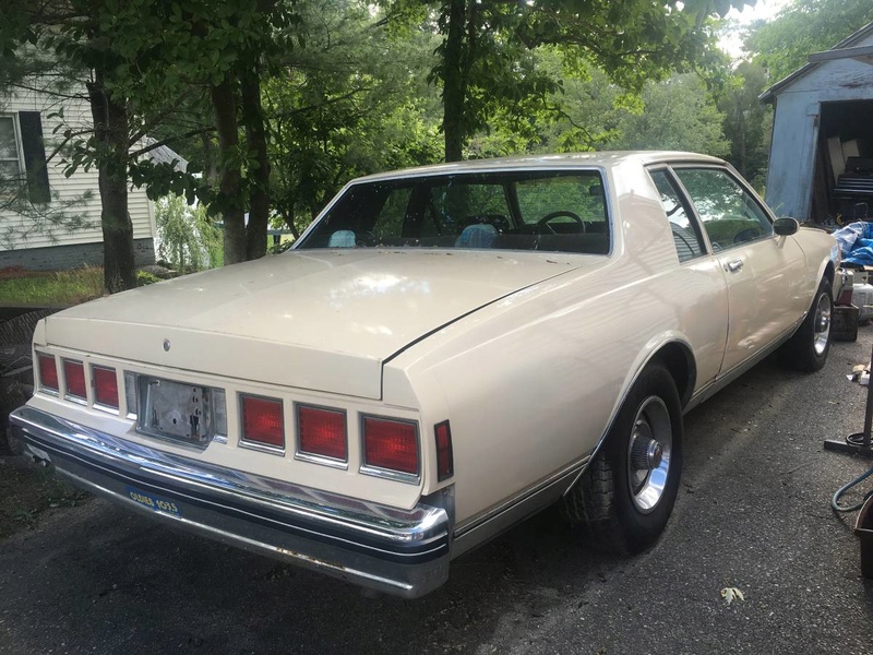 FOR SALE 1984 Caprice Coupe 00b0b_10