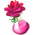 Rose Mauve  Rosewa10