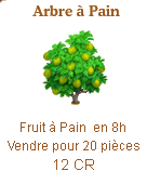 Arbre à Pain => Fruit à Pain Sans_117