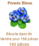 Pensée Bleue Sans_355