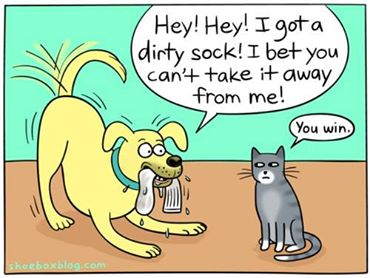 George Clooney is obsessed with fresh socks - Page 3 Dirtys10
