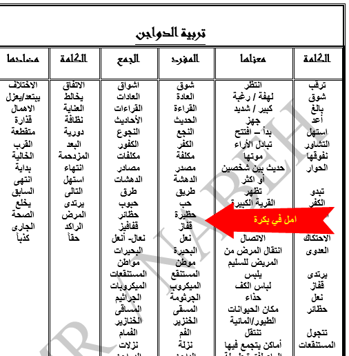 الصف الخامس الابتدائي شرح منهج الترم الأول لغة عربية بالكامل  29-06-12