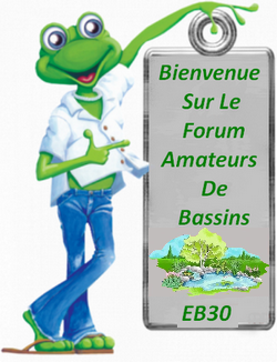 Bonjour et merci pour les infos du forum Wqgniz18