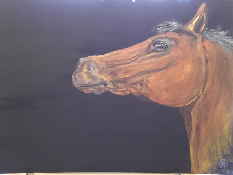 Petit portrait de cheval... 13962510