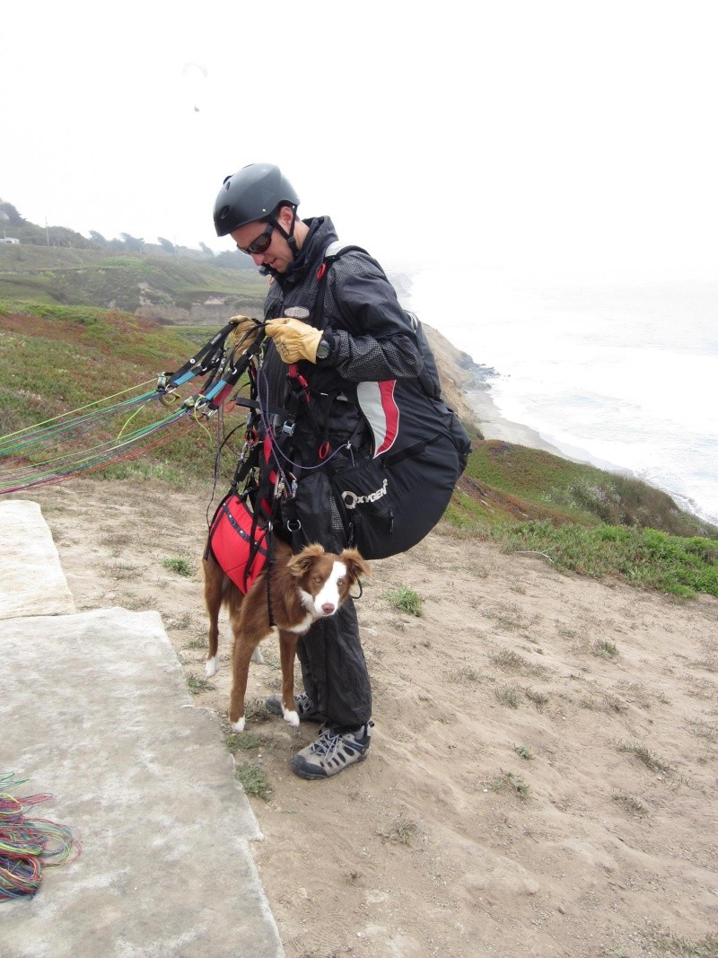 Loopie en vacances ; France et parapente 10637710