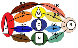 Analisi Della Figura Corporea Secondo Il Metodo Kibbe