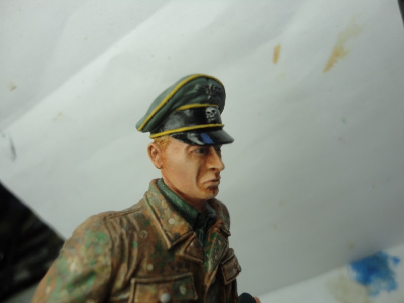 Officier de cavalerie SS WWII - 120 MM - VERLINDEN   ( fini mis en galerie ) - Page 4 Dsc00914