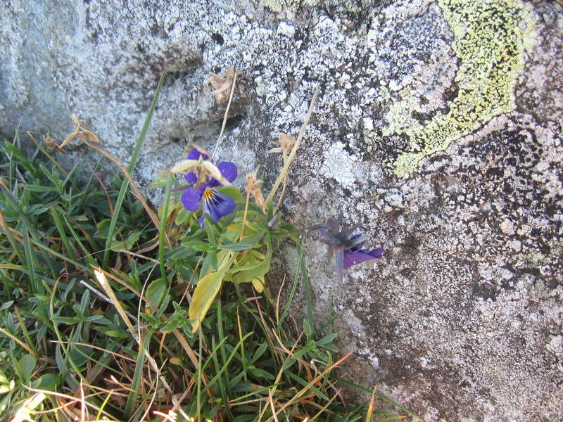 Puy de Niermont Fabie197