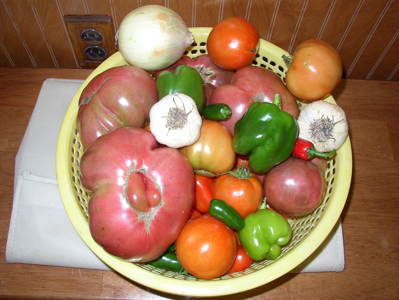 salsa - Round #3-canning Salsa P1010025