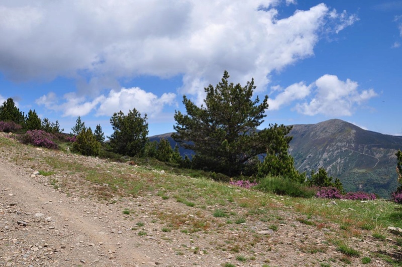 Sierra de la Demanda Img01111