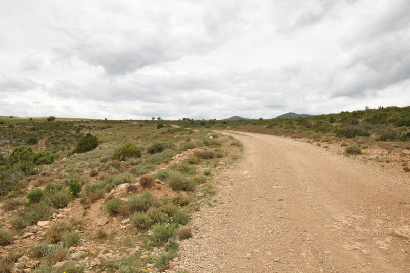 Sierra de la Demanda Img02210