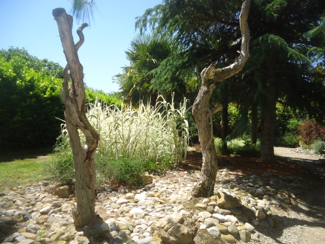 Jardin aux Plantes Parfumées la Bouichère, Limoux  11 Dsc09452