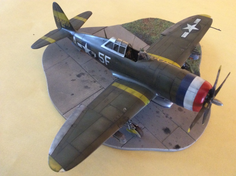 P-47 Search And Rescue Image79