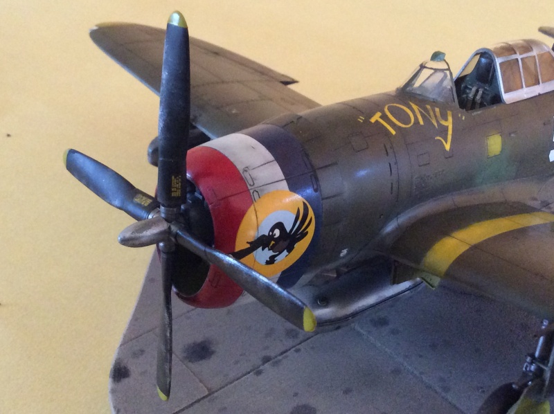 P-47 Search And Rescue Image81