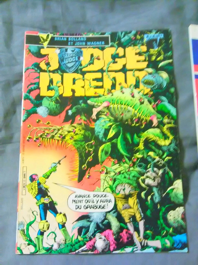 Does anyone else collect judge dredd comic or figures? - Page 6 Img_2013