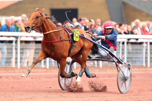 quinte -  Saint-Malo - Quinté - Concours- Mercredi 10/08/16 44fa6411