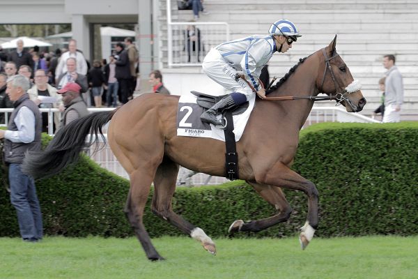  Clairefontaine - Mardi 30/08/16 82b2fb10