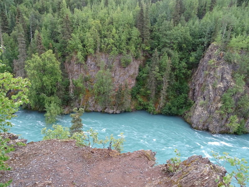 Alaska: Péninsule de Kenaï Dsc05823