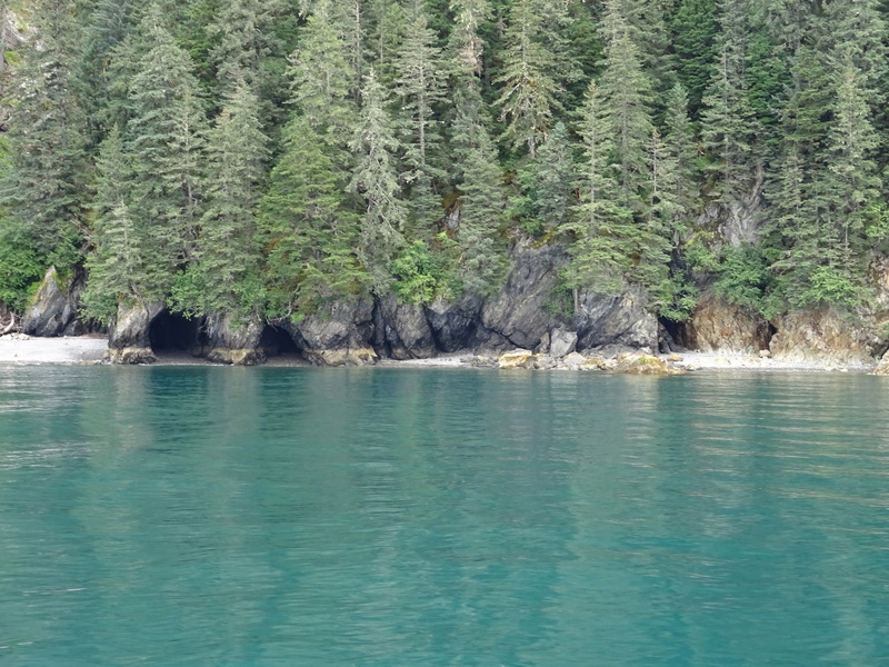 Alaska: Seward Dsc06115