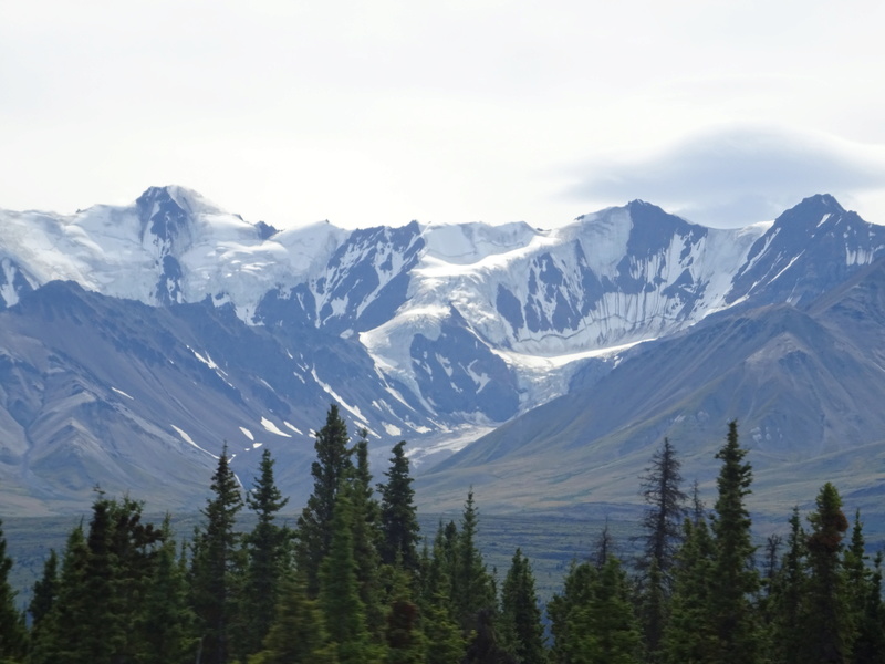 Alaska: Haines Road Dsc06912