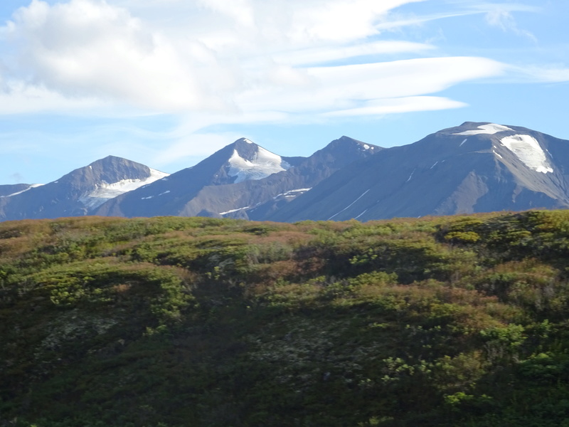 Alaska: Haines Road Dsc06913