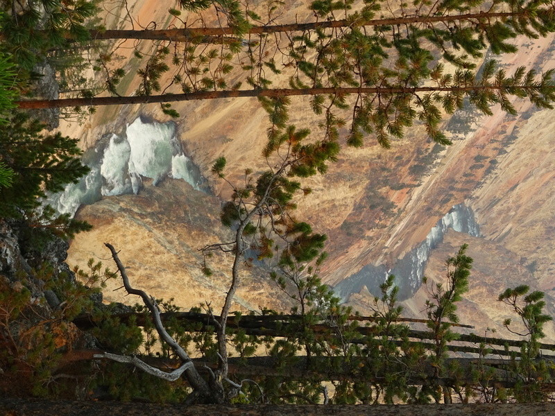 Yellowstone Dsc09110