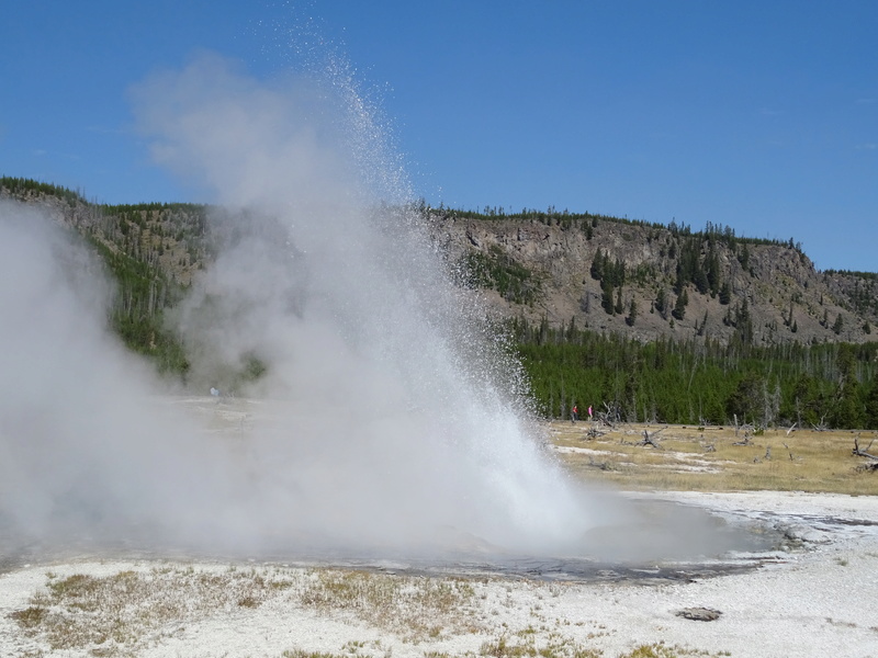 Yellowstone Dsc09511