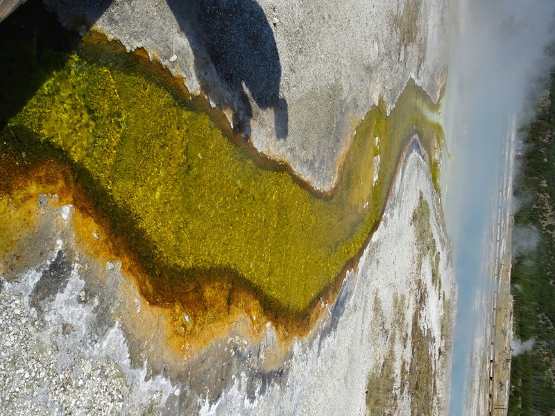 Yellowstone Dsc09512
