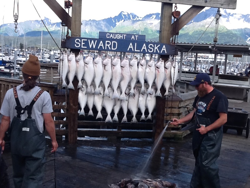 Alaska: Seward Img_0510