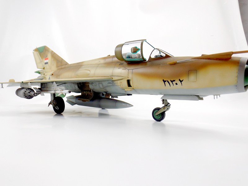 Mikoyan Gourevitch MiG-21MF irakien Dscf2611
