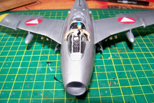 1/48 SAAB J-29F - Page 2 100_0632