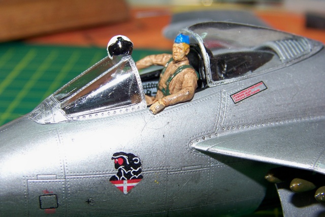 1/48 SAAB J-29F  - Page 2 100_0634