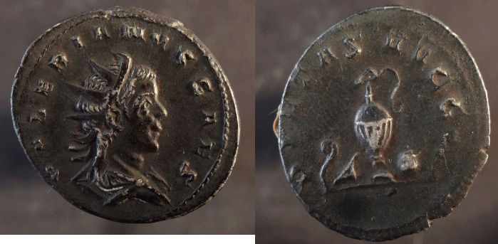 Les nouveautés de Caius Lucius pour 2016 - Page 2 Saloni10