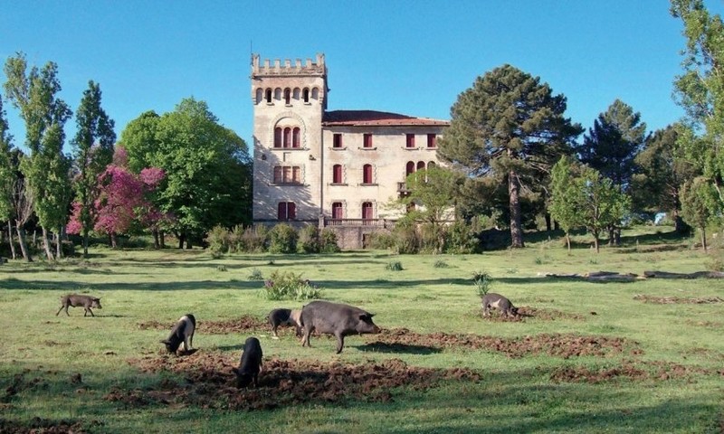 Château de Martine 18 juillet trouvé par Ajonc Le-cha10
