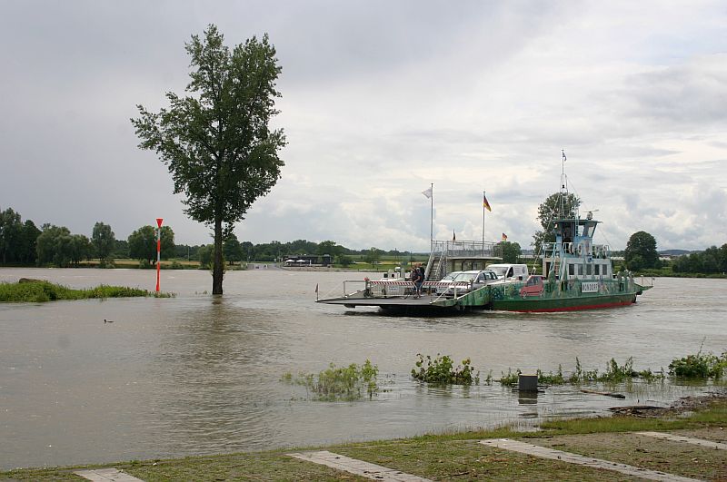 Kleiner Rheinbummel am 14.06.16 in Koblenz und Mondorf 17b10