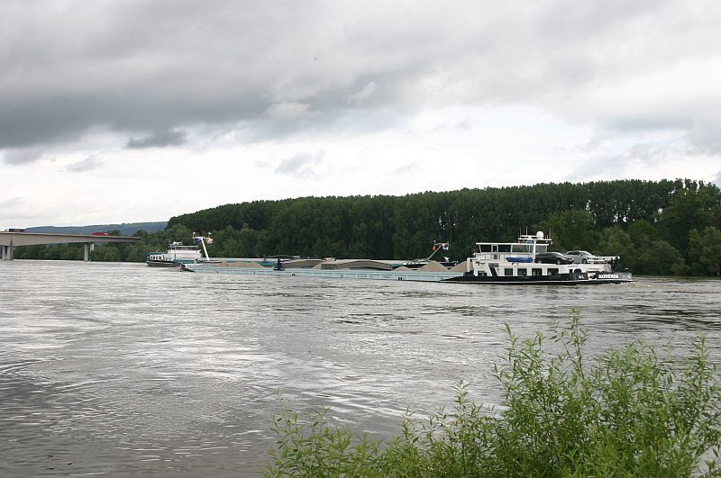 Kleiner Rheinbummel am 14.06.16 in Koblenz und Mondorf 3d10