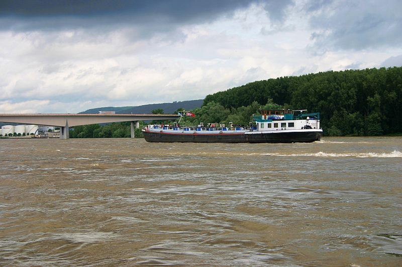 Kleiner Rheinbummel am 14.06.16 in Koblenz und Mondorf 7b11