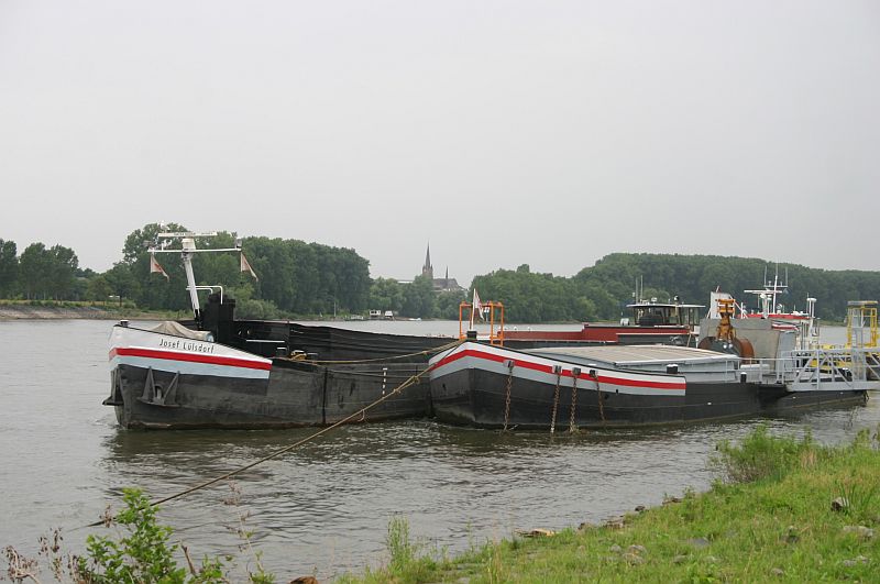 Kleiner Rheinspaziergang in Mondorf am 03.08.16 L1810