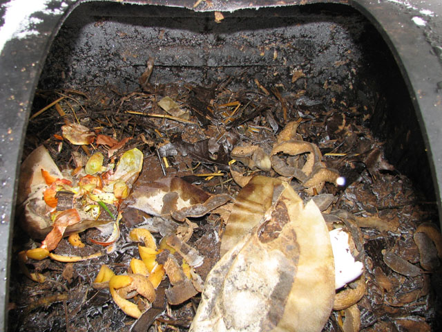 Comparison of final compost material Frozen11
