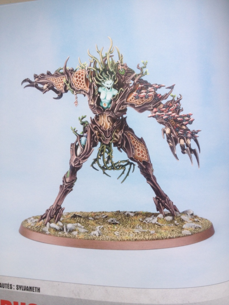 News Games Workshop - Tome 5 - Page 13 Drycha10