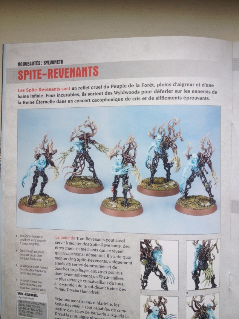 News Games Workshop - Tome 5 - Page 13 Syl510