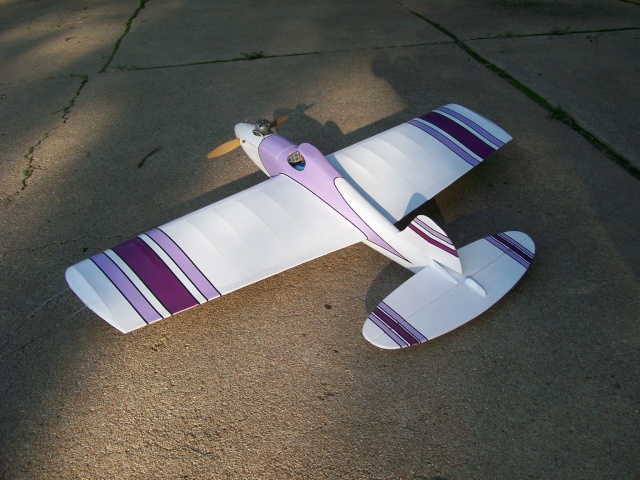 Purple Plane Factory's Latest Completion...S-6! 100_1312