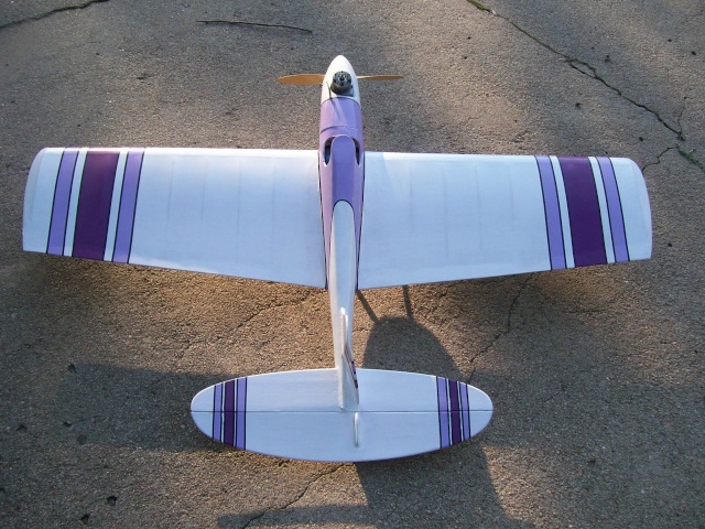 Purple Plane Factory's Latest Completion...S-6! 100_1314