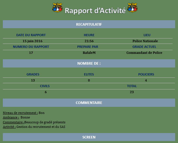 Rapport d'activité de RafaleM [P.N]  Captur15