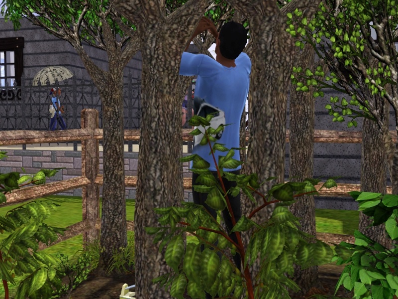 The Sims 3 Immortal Dynasty Challenge (Warning, screenshots!) Screen49